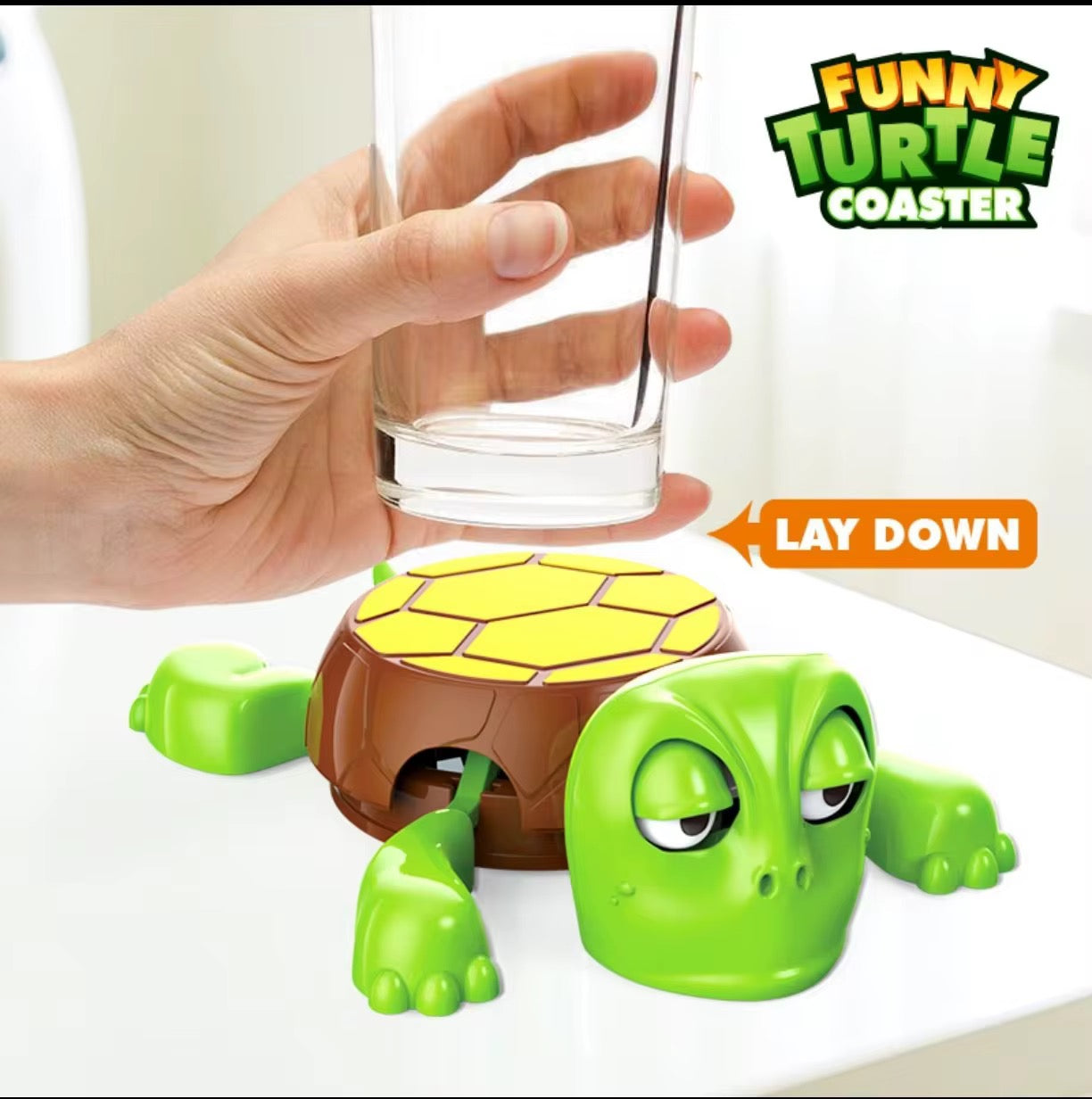 Funny Turtle Coaster