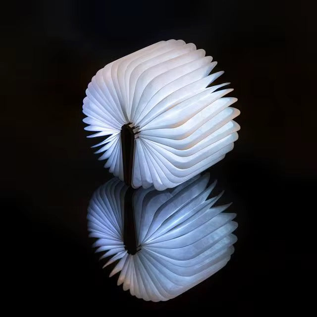 Wooden LED Book Lamp