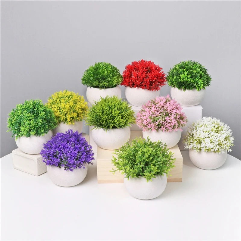 Colorful Mini Potted Plants