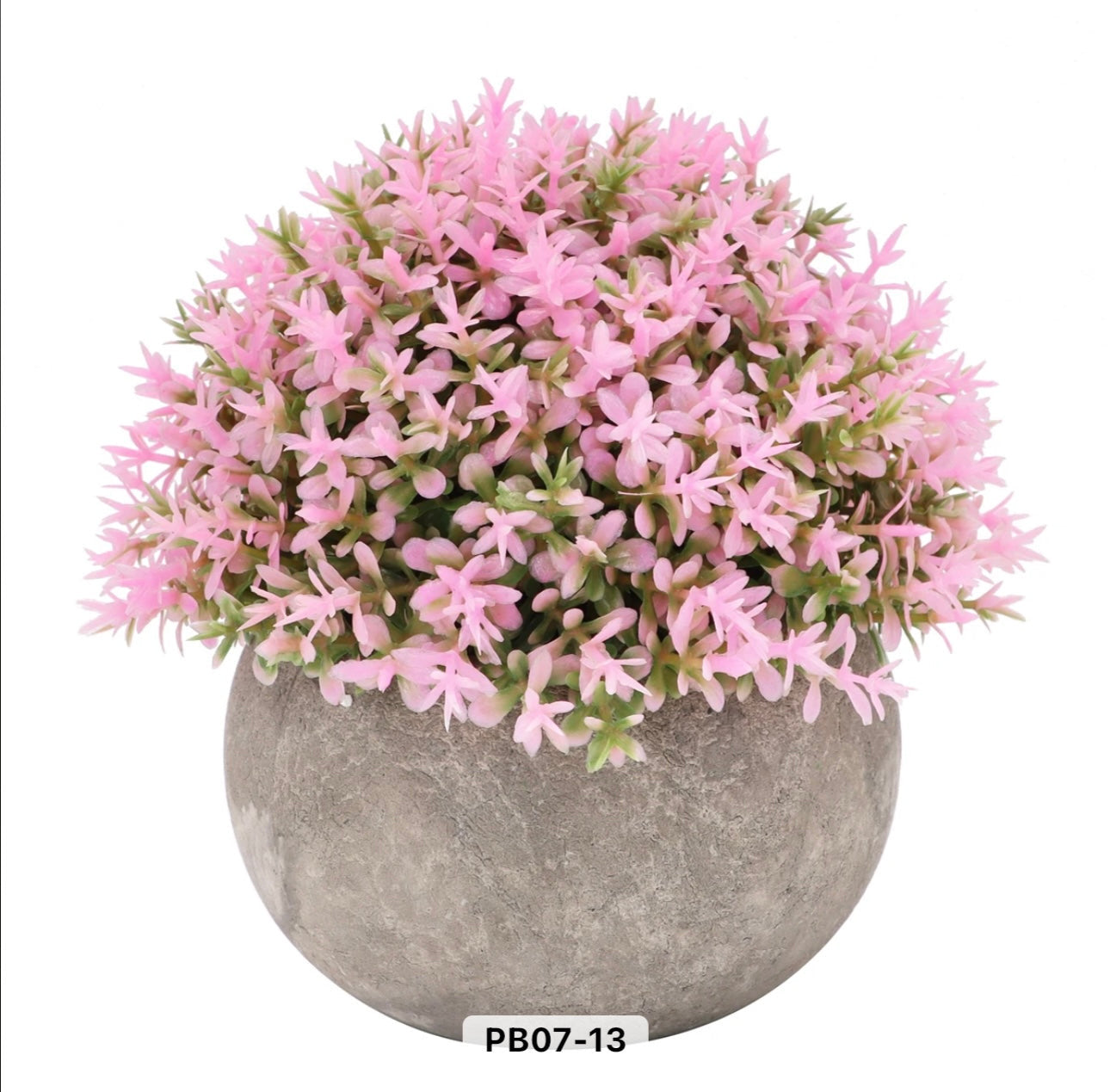 Colorful Mini Potted Plants