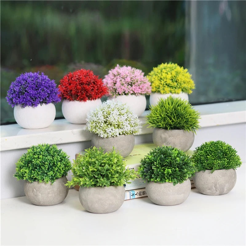 Colorful Mini Potted Plants