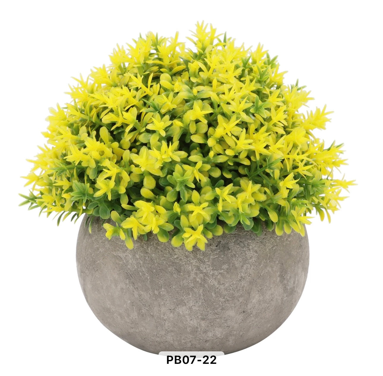 Colorful Mini Potted Plants