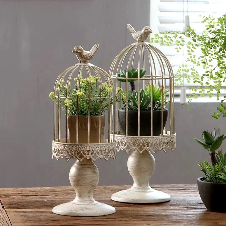 Bird Cage Accessory