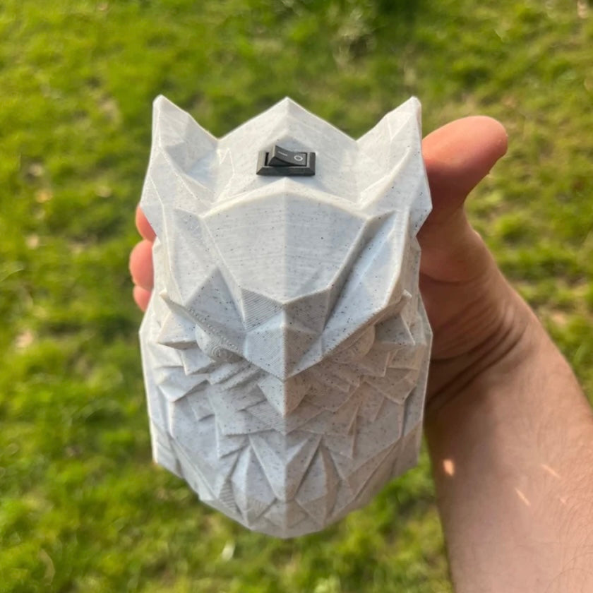 3D Owl Light
