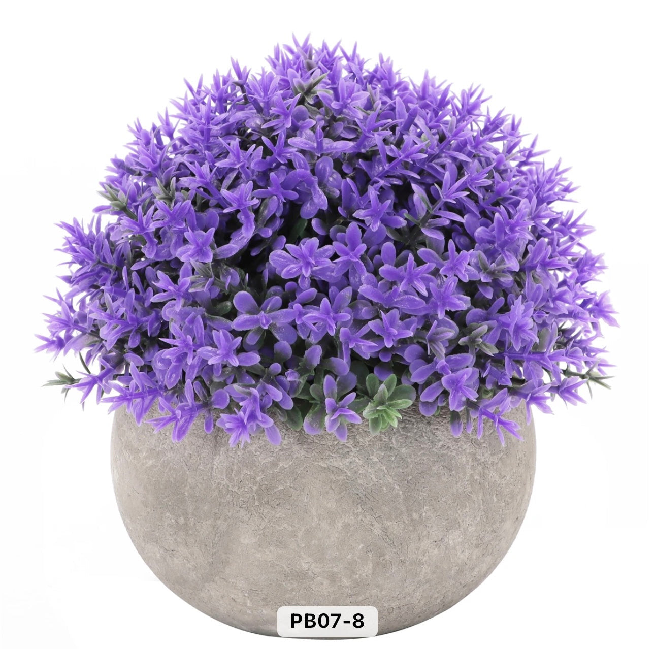 Colorful Mini Potted Plants