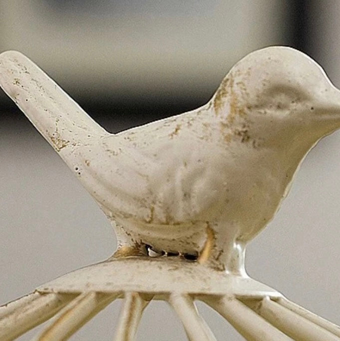 Bird Cage Accessory