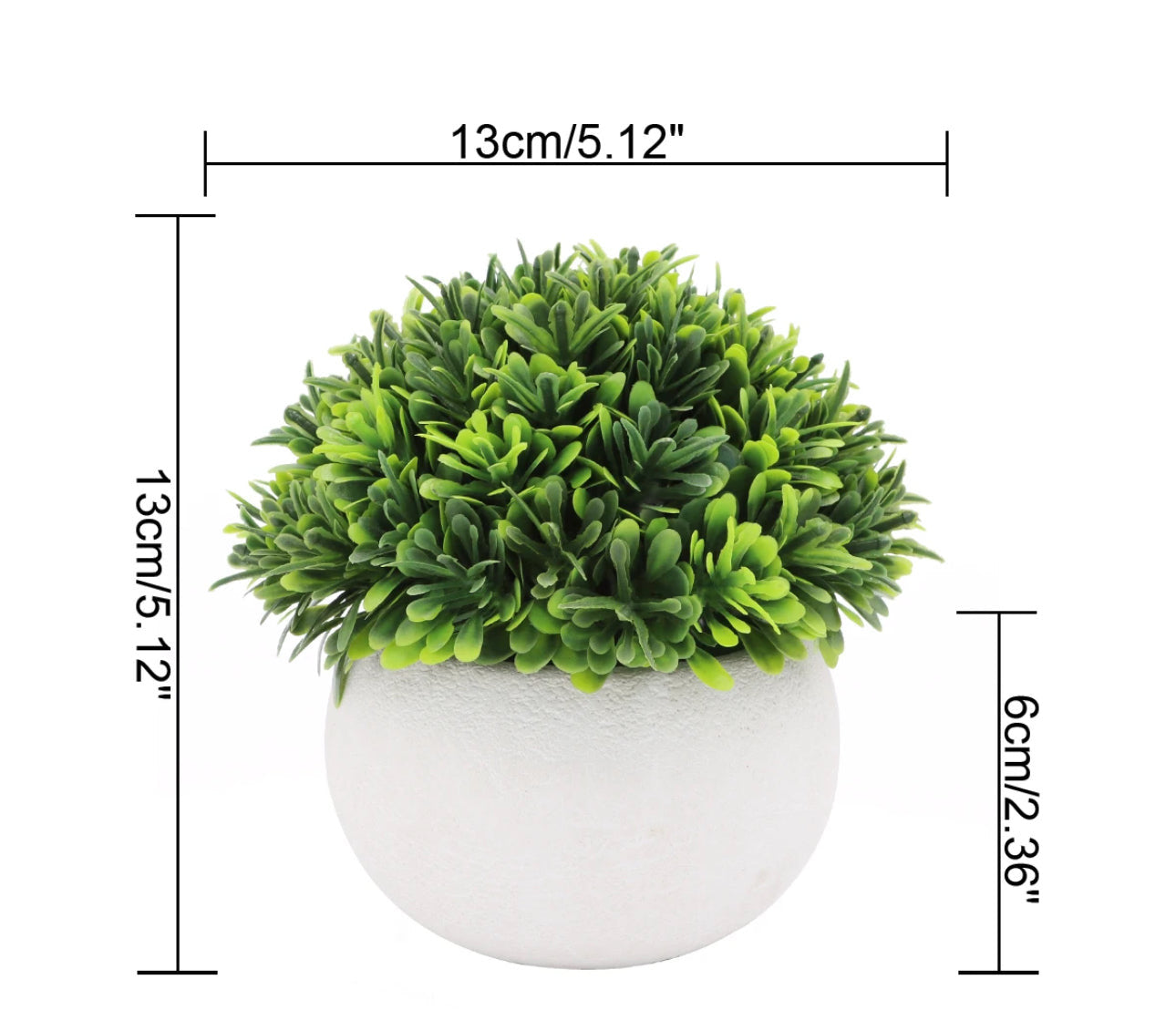 Colorful Mini Potted Plants