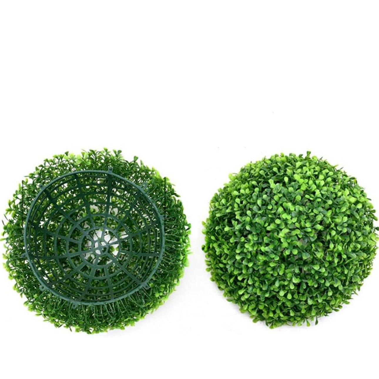 Ball Topiary  Grass  Ball