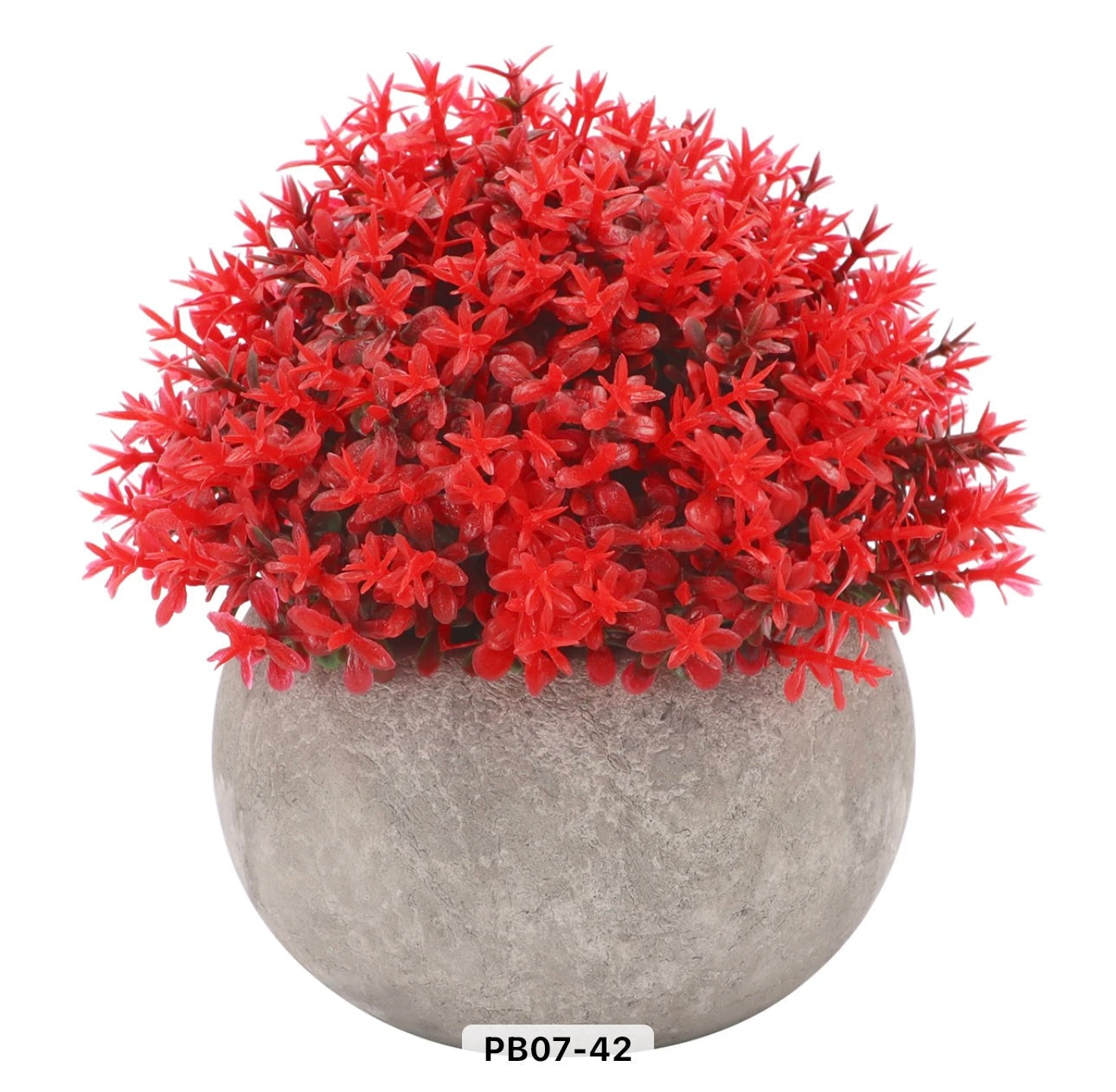 Colorful Mini Potted Plants