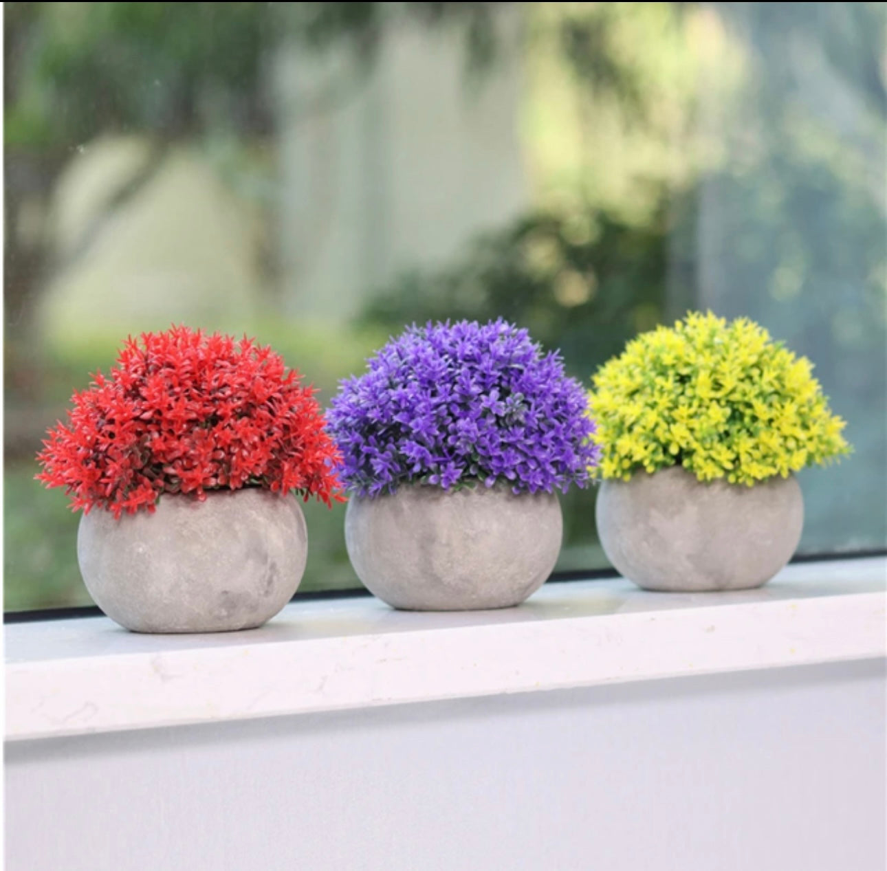 Colorful Mini Potted Plants