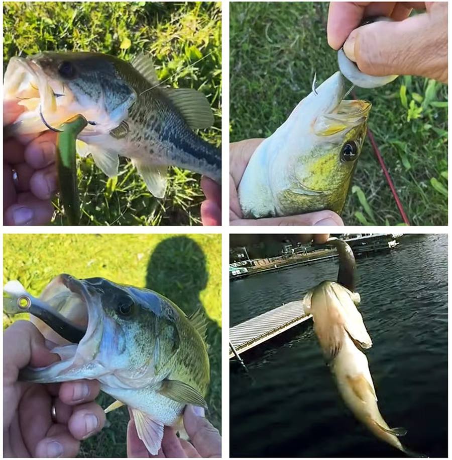 🎣 طعم صيد ناعم على شكل سمكة لوتش بيونيك، 10 سم، 6 غرامات - طعم سباحة واقعي بذيل مجداف