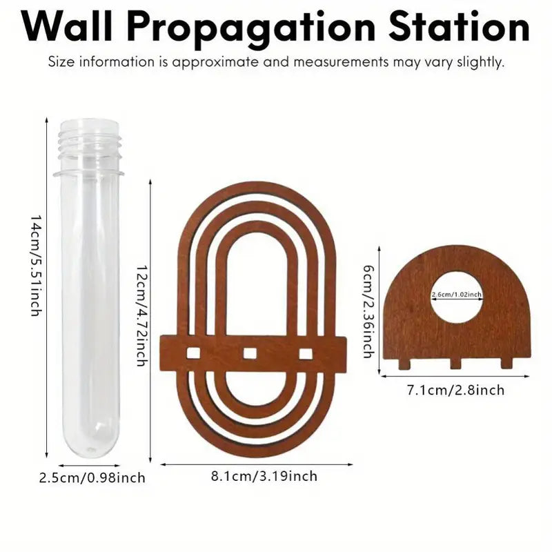 Hydroponic Vase Decoration Wall Mount