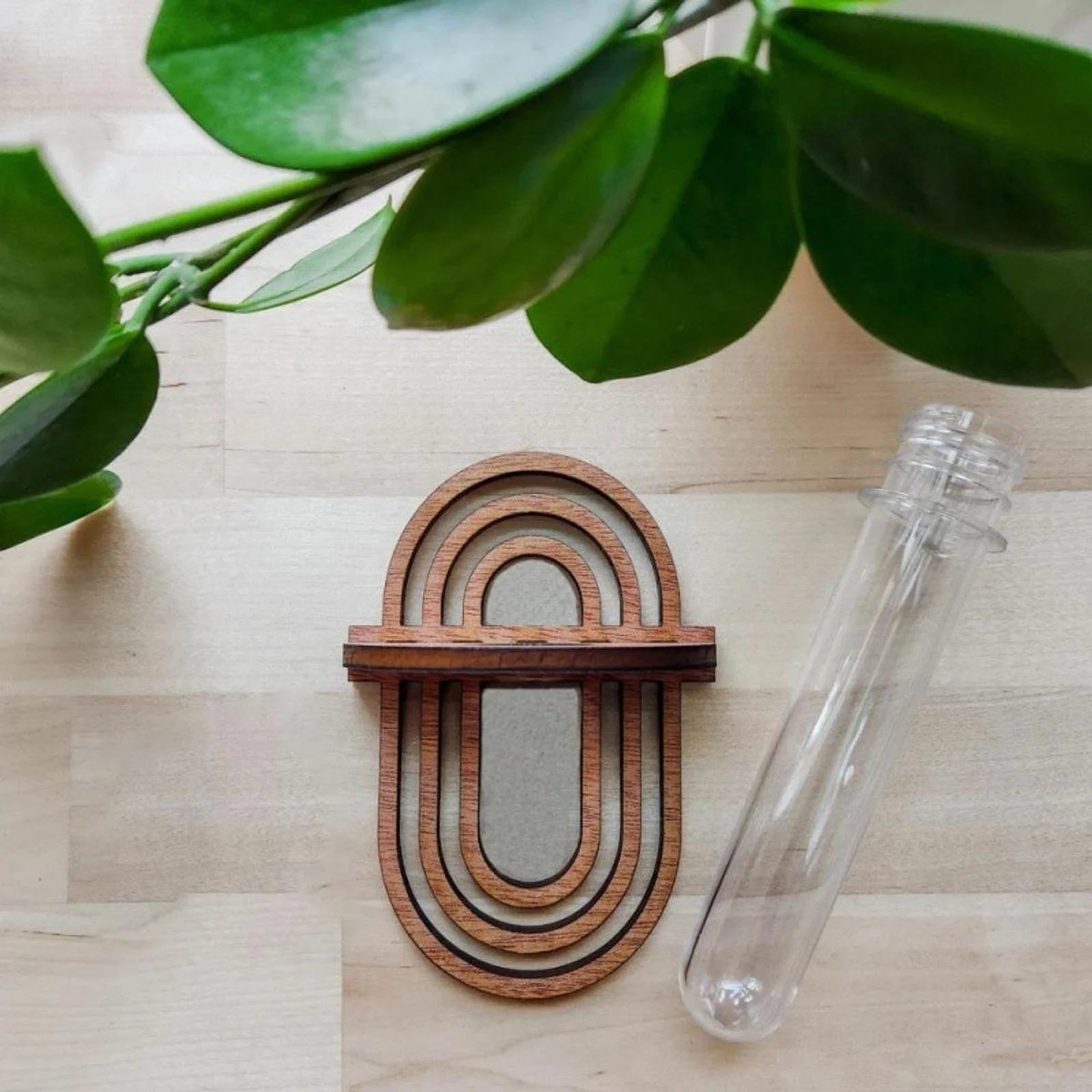 Hydroponic Vase Decoration Wall Mount