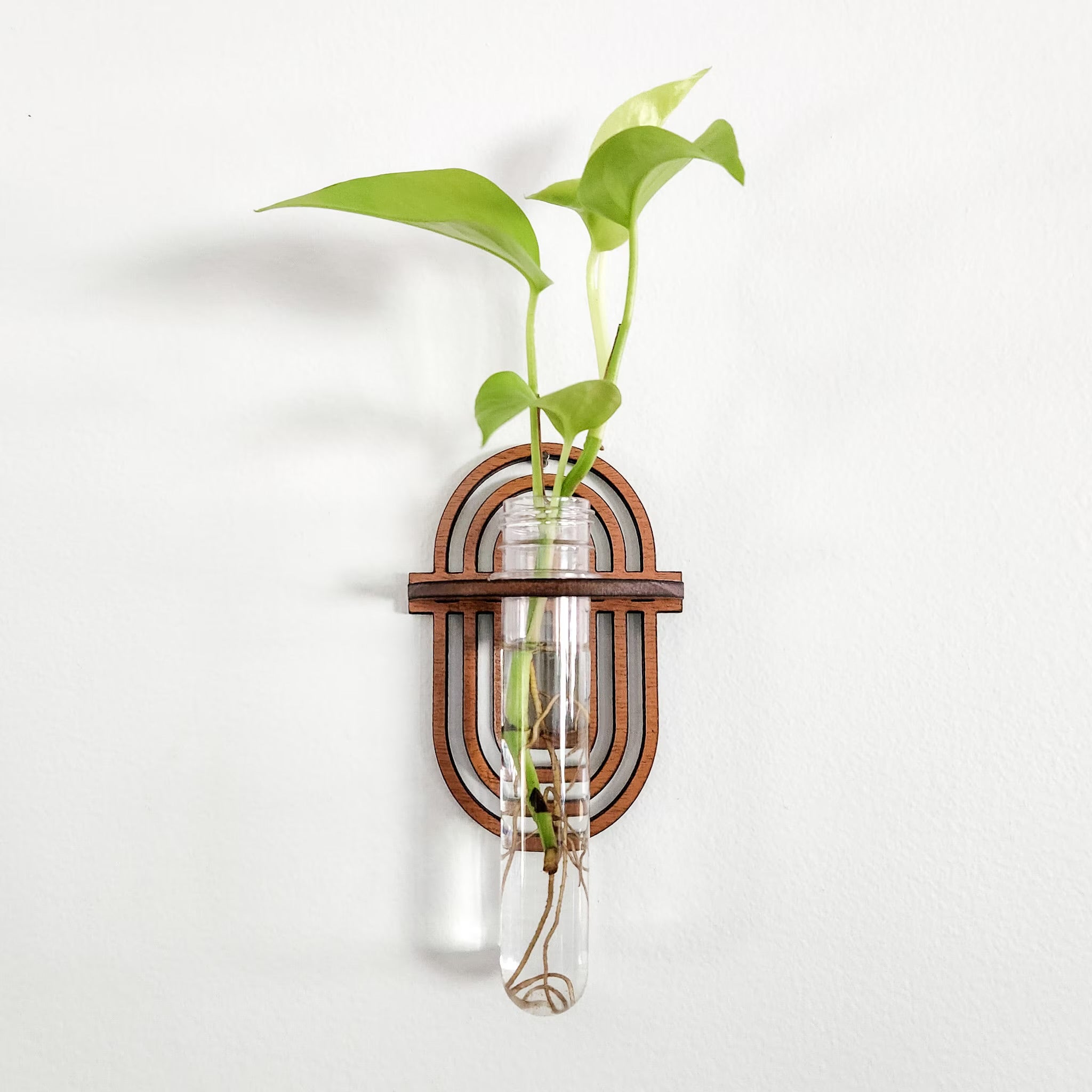 Hydroponic Vase Decoration Wall Mount