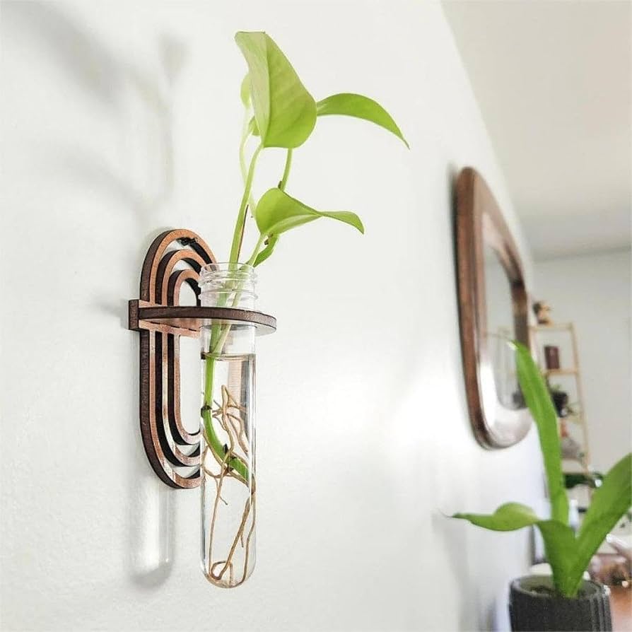 Hydroponic Vase Decoration Wall Mount